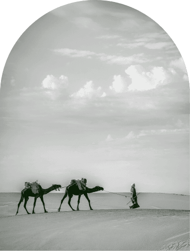 ALSIRAH GARDENS